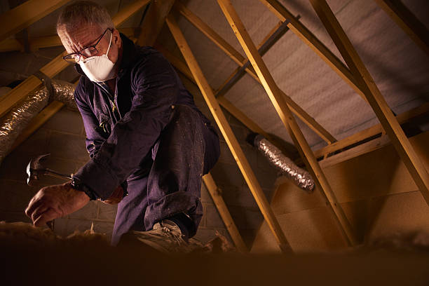 Best Insulation Maintenance and Repair in Corinth, TX